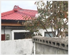  2024Ÿ3301  ֽ  1781       ð