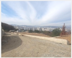  2024Ÿ3417  ֽ  50-3       ()