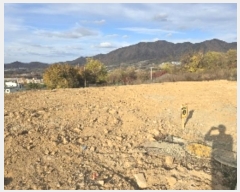  2024Ÿ3417  ֽ  50-3       ()