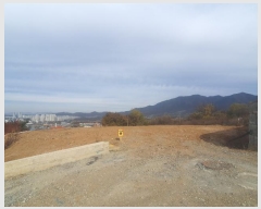  2024Ÿ3417  ֽ  50-3       ()