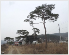  2024Ÿ��31078 ��� ���ֽ� �Ӽ��� ��õ�� 46-2      ���ð��