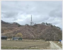  2024Ÿ��31641 ��� ���ֽ� ���¸� ������ ��1      ����(�Ӿ�)���