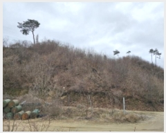  2024Ÿ��31641 ��� ���ֽ� ���¸� ������ ��1      ����(�Ӿ�)���