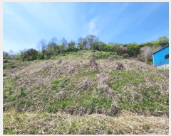  2024Ÿ31870  ֽ Ⱥ ߻긮 462-3      ()