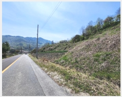  2024Ÿ31870  ֽ Ⱥ ߻긮 462-3      ()