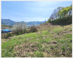  2024Ÿ31870  ֽ Ⱥ ߻긮 462-3      ()