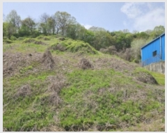  2024Ÿ31870  ֽ Ⱥ ߻긮 462-3      ()