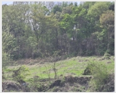  2024Ÿ31870  ֽ Ⱥ ߻긮 462-3      ()