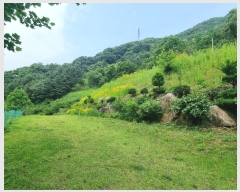  2024Ÿ��32590 ��� ���ֽ� ��̸� ��긮 439-1      ����(��1)���