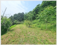  2024Ÿ��32590 ��� ���ֽ� ȣ�ϵ� 624-2       ����(��)���