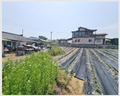  2024Ÿ��32590 ��� ���ֽ� ��̸� ��긮 439-1      ����(��1)���