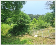  2024Ÿ��32590 ��� ���ֽ� ��̸� ��긮 439-1      ����(��1)���