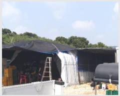  2024Ÿ��34152 ��� ���ֽ� ����� 383-14       ����(������)���