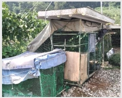  2024Ÿ��34152 ��� ���ֽ� ����� 383-14       ����(������)���