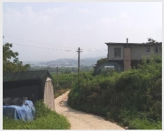  2024Ÿ��34152 ��� ���ֽ� ����� 383-14       ����(������)���