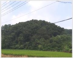  2024Ÿ��34152 ��� ���ֽ� ����� 383-14       ����(������)���