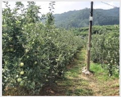  2024Ÿ��34152 ��� ���ֽ� ����� 383-14       ����(������)���