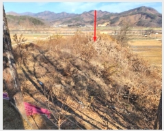  2024Ÿ��35735 ��� ���ֽ� �Ӽ��� ���׸� ��68-7      ����(�Ӿ�)���