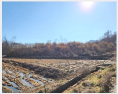  2024Ÿ��35735 ��� ���ֽ� �Ӽ��� ���׸� ��68-7      ����(�Ӿ�)���