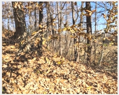  2024Ÿ��35735 ��� ���ֽ� �Ӽ��� ���׸� ��68-7      ����(�Ӿ�)���