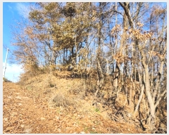  2024Ÿ��35735 ��� ���ֽ� �Ӽ��� ���׸� ��68-7      ����(�Ӿ�)���