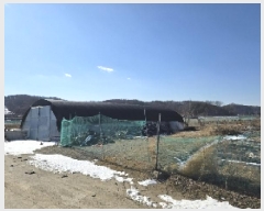  2024Ÿ36257  ֽ  ̳ 64-2      ()