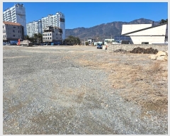  2024Ÿ��114  �������