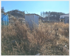  2024Ÿ��114  �������