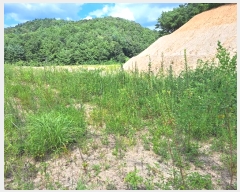  2024Ÿ1018  õ  ڸ 23-1      (Ӿ)