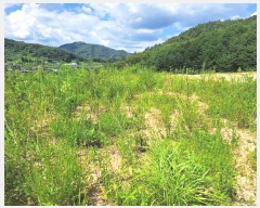  2024Ÿ1018  õ  ڸ 23-1      (Ӿ)