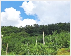  2024Ÿ1018  õ  ڸ 23-1      (Ӿ)