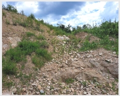  2024Ÿ1018  õ  ڸ 23-1      (Ӿ)