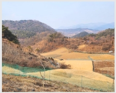  2024Ÿ1834  õ   78-1      (Ӿ)