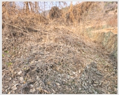  2024Ÿ1834  õ   78-1      (Ӿ)