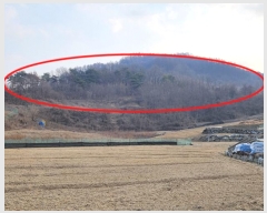  2024Ÿ1834  õ   78-1      (Ӿ)