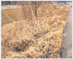  2024Ÿ1834  õ   78-1      (Ӿ)