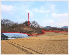  2024Ÿ1834  õ   78-1      (Ӿ)