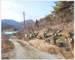  2024Ÿ1834  õ   78-1      (Ӿ)