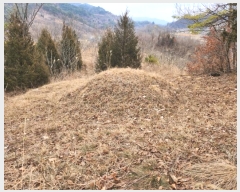  2024Ÿ1834  õ   78-1      (Ӿ)