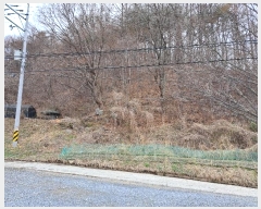  2024Ÿ5690  õ   63-1      (Ӿ)