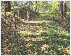  2024Ÿ��7351 ��� ��õ�� �ſ��� 1115-15       ����(�Ӿ�)���