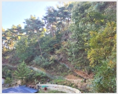  2024Ÿ��7351 ��� ��õ�� �ſ��� 1115-15       ����(�Ӿ�)���