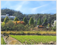  2024Ÿ��7351 ��� ��õ�� �ſ��� 1115-15       ����(�Ӿ�)���