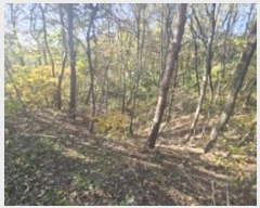  2024Ÿ��7351 ��� ��õ�� �ſ��� 1115-15       ����(�Ӿ�)���