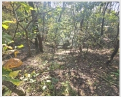  2024Ÿ��7351 ��� ��õ�� �ſ��� 1115-15       ����(�Ӿ�)���