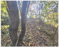  2024Ÿ��7351 ��� ��õ�� �ſ��� 1115-15       ����(�Ӿ�)���