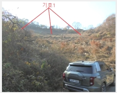  2024Ÿ7610  õ   1157      (1)