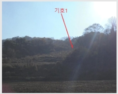  2024Ÿ7610  õ   1157      (1)