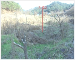  2024Ÿ7610  õ   1157      (1)