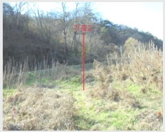  2024Ÿ7610  õ   1157      (1)